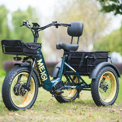 SILVERADO-HD Fat Tire Electric Tricycle by DW Meigi