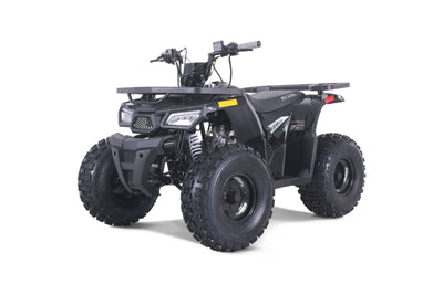 Tao Motor Mudhawk 10 Youth ATV with Remote Shut Off - 120cc