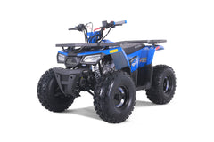 Tao Motor Mudhawk 10 Youth ATV with Remote Shut Off - 120cc