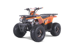 Tao Motor Mudhawk 10 Youth ATV with Remote Shut Off - 120cc
