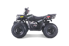 Tao Motor Mudhawk 10 Youth ATV with Remote Shut Off - 120cc