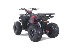 Tao Motor Mudhawk 10 Youth ATV with Remote Shut Off - 120cc
