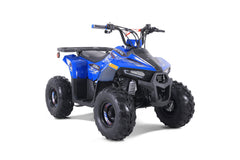 Tao Motor Mudhawk 6 Youth ATV with Remote Shut Off