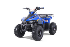 Tao Motor Mudhawk 6 Youth ATV with Remote Shut Off