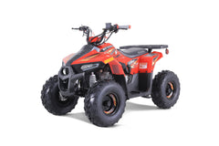 Tao Motor Mudhawk 6 Youth ATV with Remote Shut Off
