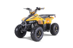 Tao Motor Mudhawk 6 Youth ATV with Remote Shut Off