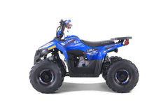 Tao Motor Mudhawk 6 Youth ATV with Remote Shut Off
