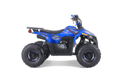 Tao Motor Mudhawk 6 Youth ATV with Remote Shut Off