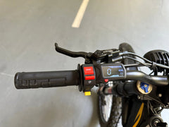 Freego Natkie N1 All-Terrain Electric Motorcycle
