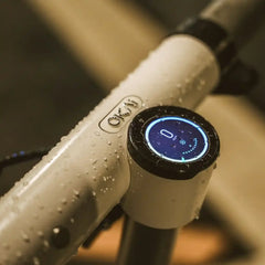 OKAI NEON Lite ES10 Electric Scooter