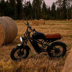 Freego Flash F3 Pro Dual Motor and Battery Electric Bike