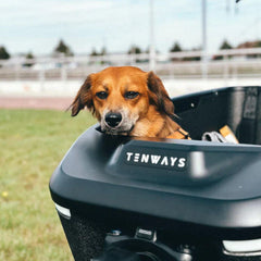 TENWAYS Cargo One Electric Cargo Bike
