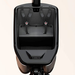 TENWAYS Cargo One Electric Cargo Bike