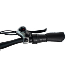 Dirwin Pacer Lite 500W Electric Bike