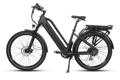 Dirwin Pacer Plus 750W Electric Bike