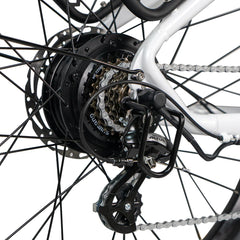 Dirwin Pacer Plus 750W Electric Bike