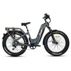 Dirwin Pioneer 2 - 750W Hunting Electric Bike