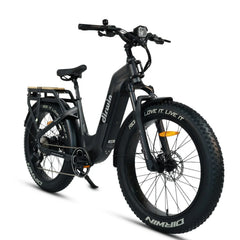 Dirwin Pioneer 2 - 750W Hunting Electric Bike