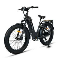 Dirwin Pioneer 2 - 750W Hunting Electric Bike