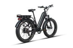 Dirwin Pioneer Plus 750W / 1000W Peak Hunting Electric Bike