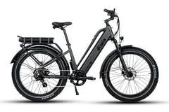 Dirwin Pioneer Plus 750W / 1000W Peak Hunting Electric Bike