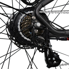 Dirwin Pioneer Plus 750W / 1000W Peak Hunting Electric Bike