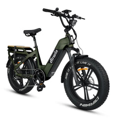 Dirwin Pioneer 2 - 750W Hunting Electric Bike
