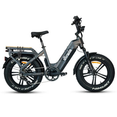 Dirwin Pioneer 2 - 750W Hunting Electric Bike