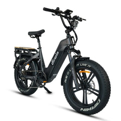 Dirwin Pioneer 2 - 750W Hunting Electric Bike