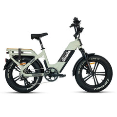 Dirwin Pioneer 2 - 750W Hunting Electric Bike