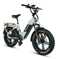 Dirwin Pioneer 2 - 750W Hunting Electric Bike