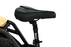 Dirwin Pioneer 2 - 750W Hunting Electric Bike