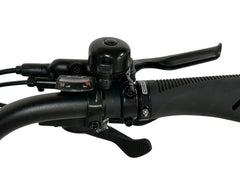 Dirwin Pioneer 2 - 750W Hunting Electric Bike
