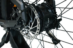 Dirwin Pioneer 2 - 750W Hunting Electric Bike