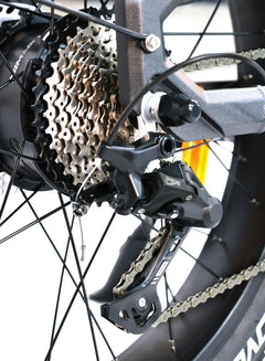Dirwin Pioneer 2 - 750W Hunting Electric Bike