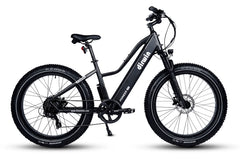 Dirwin Pioneer Lite 750W Hunting Electric Bike