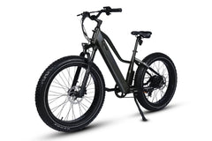 Dirwin Pioneer Lite 750W Hunting Electric Bike