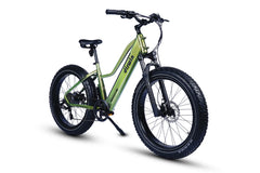 Dirwin Pioneer Lite 750W Hunting Electric Bike