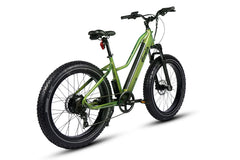 Dirwin Pioneer Lite 750W Hunting Electric Bike