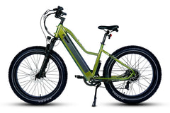 Dirwin Pioneer Lite 750W Hunting Electric Bike