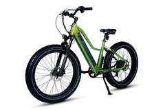 Dirwin Pioneer Lite 750W Hunting Electric Bike