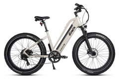 Dirwin Pioneer Lite 750W Hunting Electric Bike