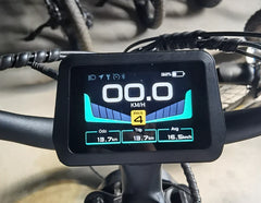 Dirwin Pioneer Plus 750W / 1000W Peak Hunting Electric Bike