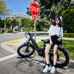 Bee Pathfinder Step-Thru Full Suspension Long Range Electric Bike