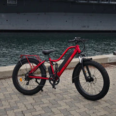Bee Explorer Soft Tail Long Range Electric Bike