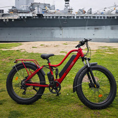 Bee Explorer Soft Tail Long Range Electric Bike