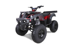 Tao Motor Rhino 250 ATV - Adult-Sized ATV 200cc 4-stroke