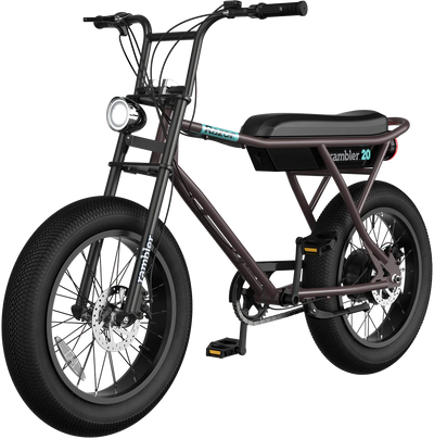 Razor Rambler 20 Electric Bike