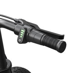 Razor Rambler MD1 Electric Bike