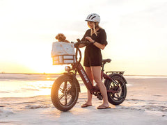 Heybike RANGER S Electric Bike - Top Speed 30 MPH